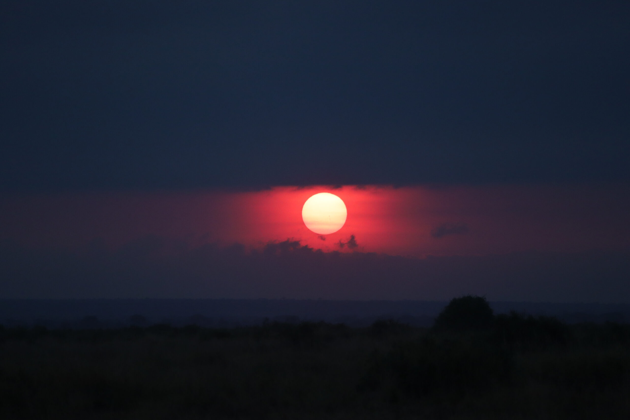 2024 sunrise over amboseli scaled.jpg